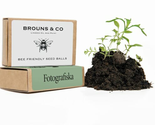Custom Printed Seedball Matchbox with Growing Plant