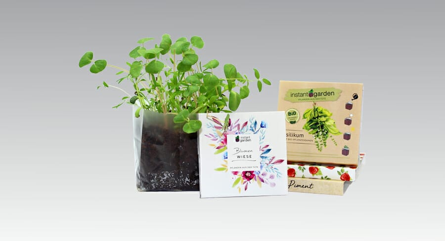 Letterbox Garden Seed Kit