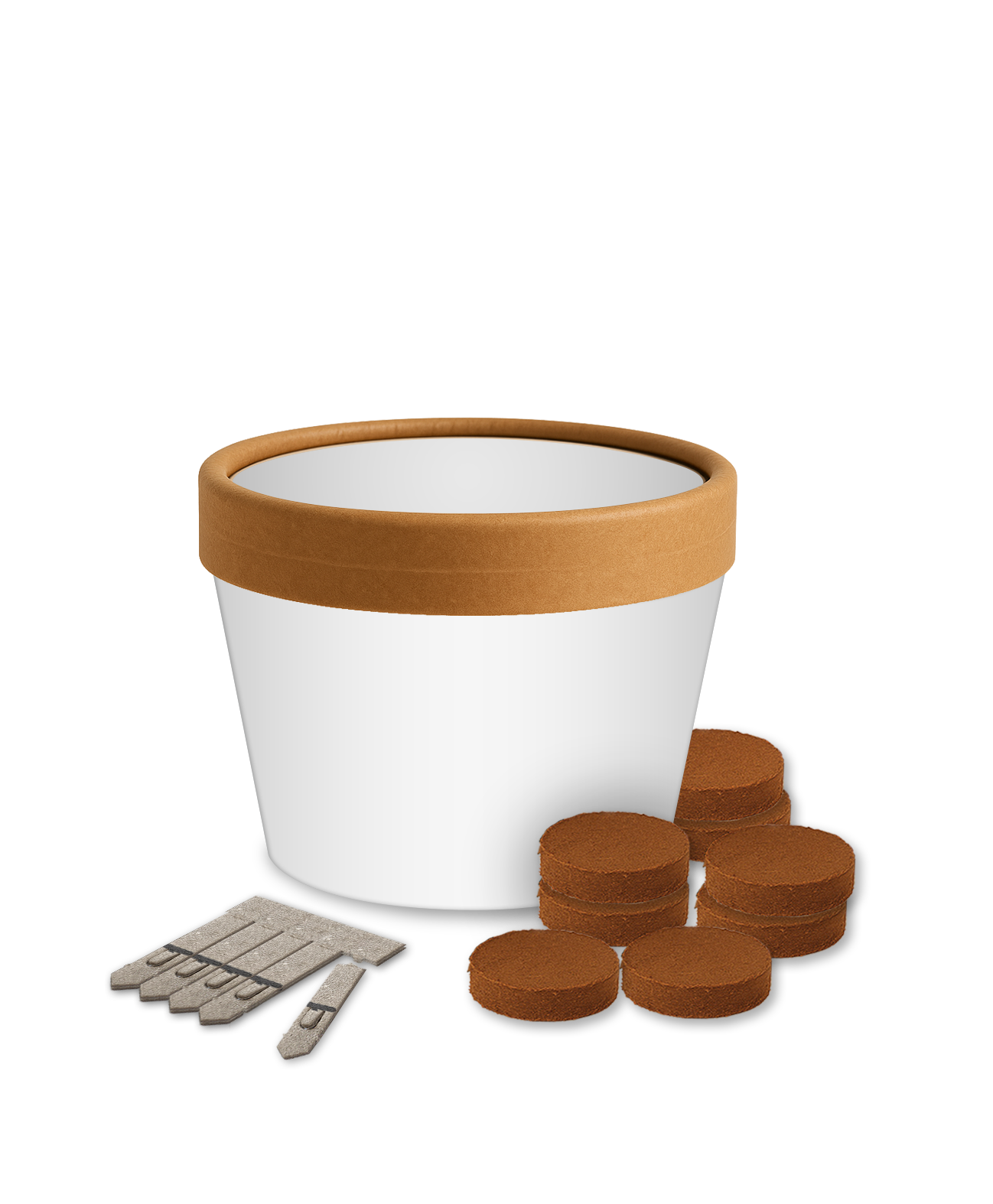 Desktop Cup Gardens - Example Artwork (3D) (GKS-031)_ Unbranded