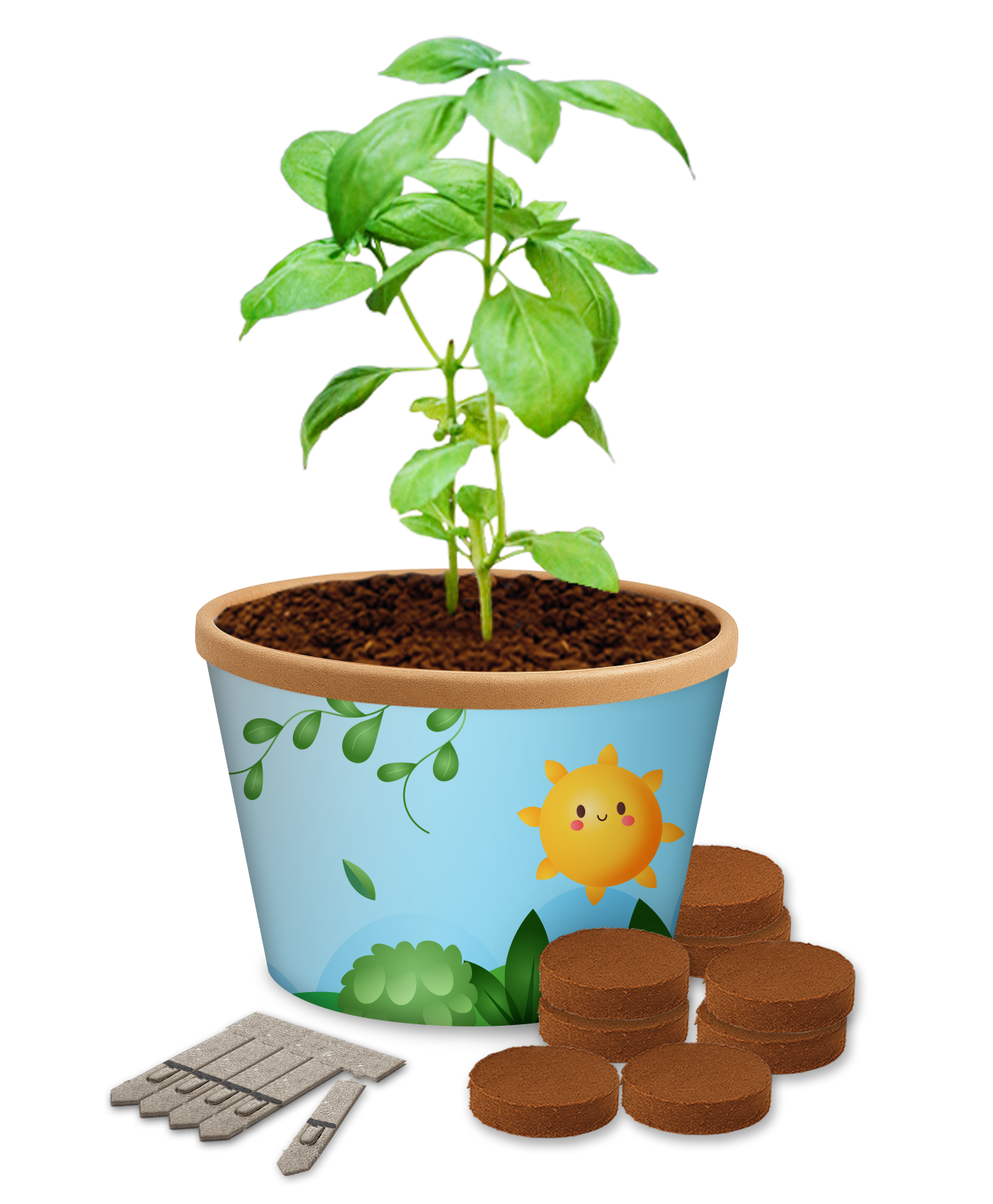 Desktop Cup Gardens - Example Artwork (3D) (GKS-031)_Growing plant