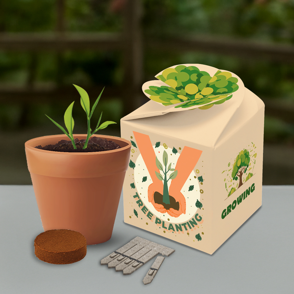 Flower Pot Box Gardens-Lifestyle (GKS-030)