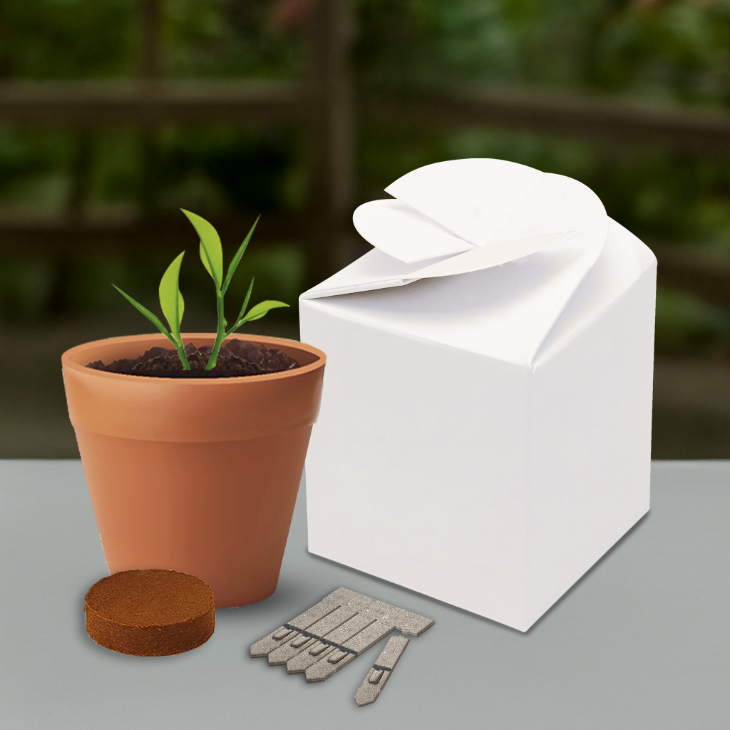 Flower Pot Box Gardens-Lifestyle (GKS-030)_Unbranded