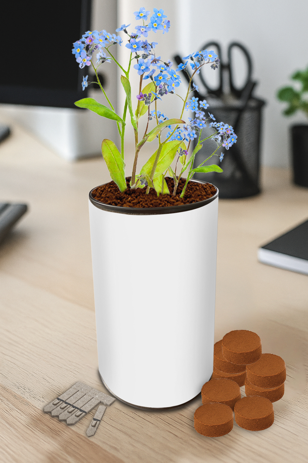 Seed Tin Gardens - Artwork Template (GKS-032) - Lifestyle (3D) (GKS-032)_Unbraded