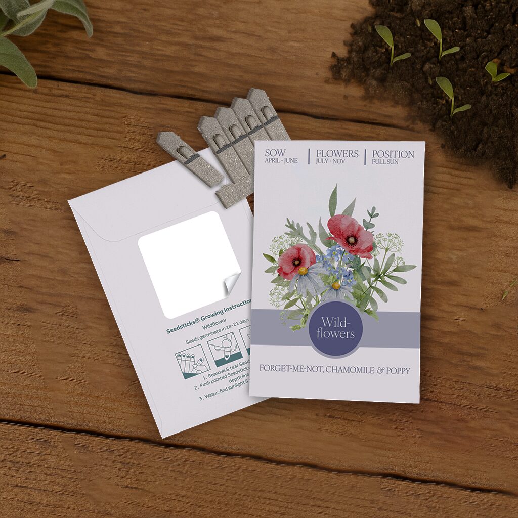 Essentials Medium Seed Packet Envelope - Example Artwork (3D) (Wildflower) Lifestyle Image_Unbranded